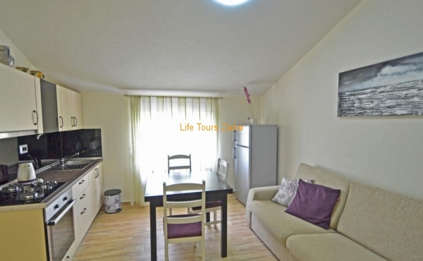 second kitchen with dining and living area