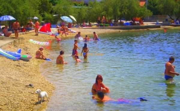 beach with sand in the sea near house